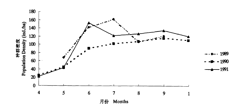 高原鼠兔